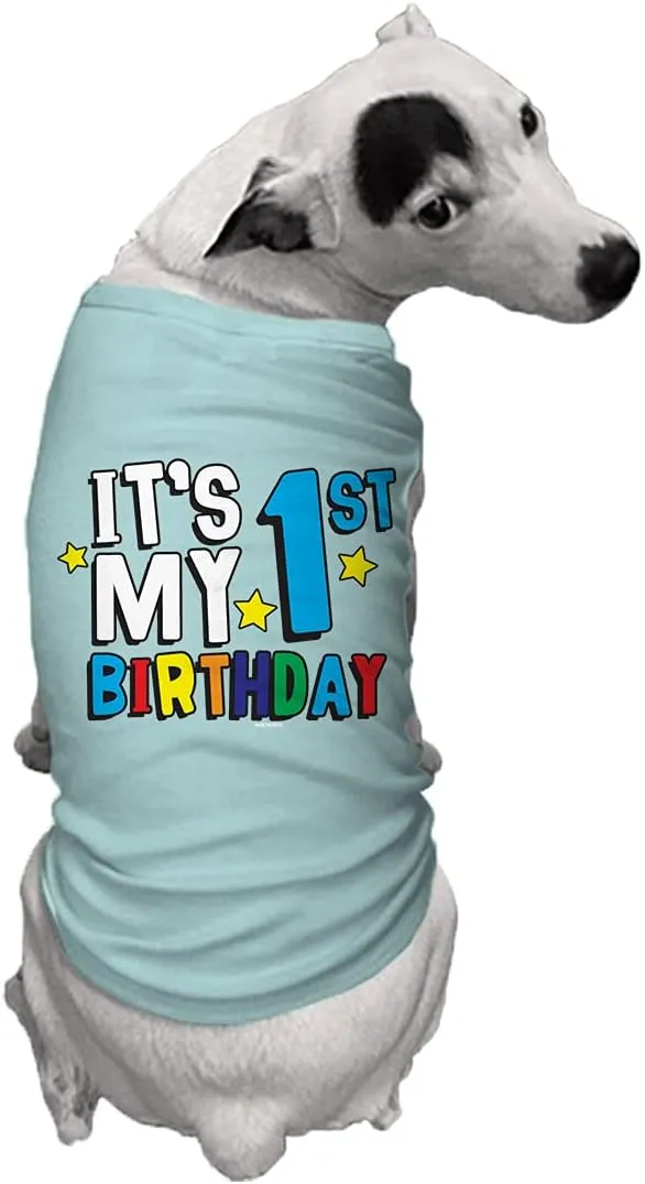 It's My 1st Birthday - First Dog Shirt (Chill, 2X-Large)